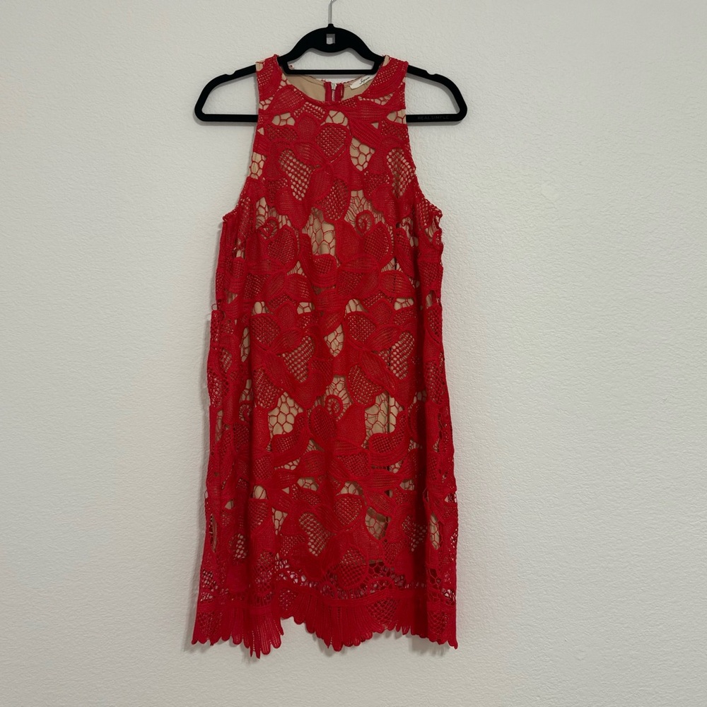 Soprano lace dress in large